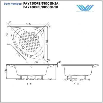 Bồn Tắm Toto PAY1300PE#W/DB503R-2A Nhựa