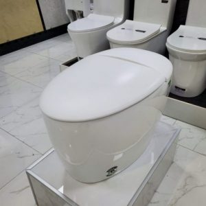 Bồn cầu xung điện mã KT-9963W