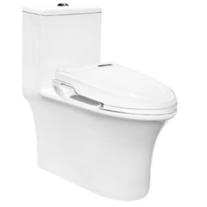 BỒN CẦU NẮP RỬA ĐIỆN TỬ HẢO CẢNH HC 1019