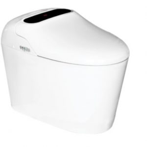 BỒN CẦU THÔNG MINH HẢO CẢNH HC 0205