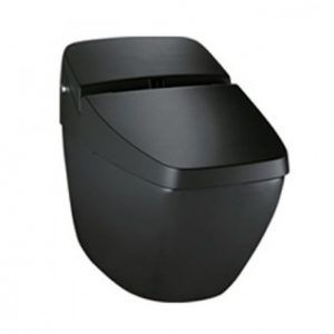 Bồn Cầu Thông Minh Inax DV-R115VH-VN/BKG