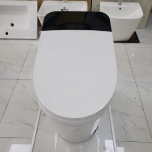 Bồn cầu thông minh mã KT-9967