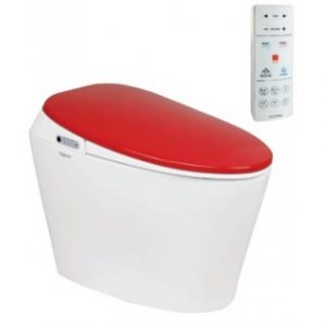 Bồn Cầu Thông Minh Viglacera V94.R