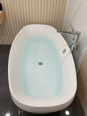 bon tam inax original 5