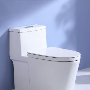 Bồn Cầu Liền Khối Huppe HP-W1