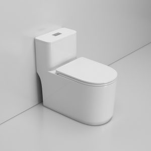Bồn Cầu Liền Khối Huppe HP- W1005