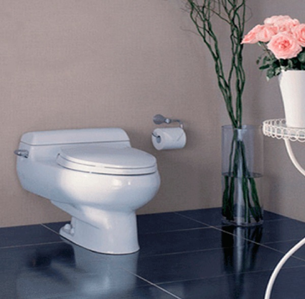 bồn cầu 1 khối TOTO MS436T2