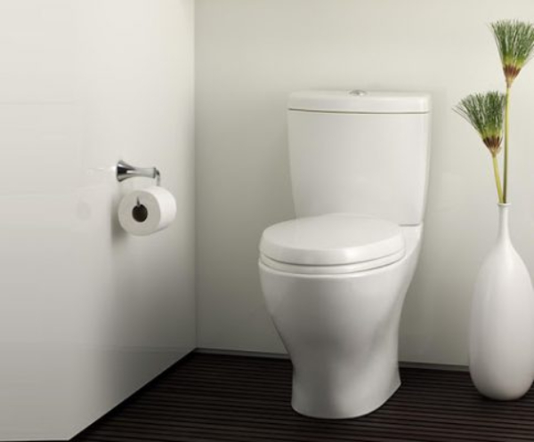 Bồn cầu TOTO MS885DT2