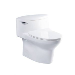 Bồn Cầu 1 Khối Toto MS904T8