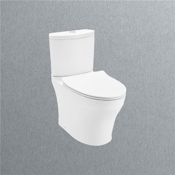 Bồn cầu 2 khối TOTO CS838DT8