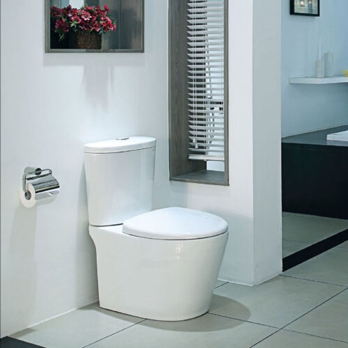 Bồn cầu 2 khối Caesar CD1348 nắp êm