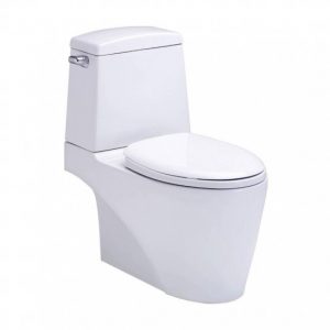 Bồn Cầu 2 Khối Cotto C13527 Riviera