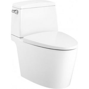 Bồn Cầu 2 Khối Cotto C13537 Riviera Pro